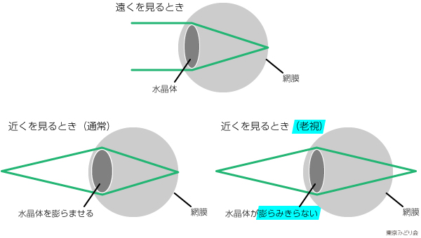 関連画像