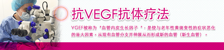 抗VEGF抗体疗法