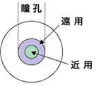 同時視タイプ